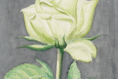 AQUAREL 2008-005