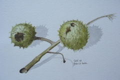 AQUAREL 1998-008