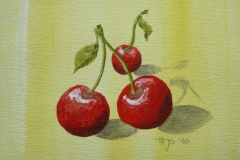 AQUAREL 2010-002