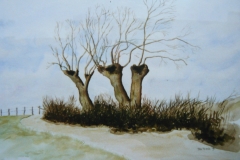 AQUAREL 1998-005