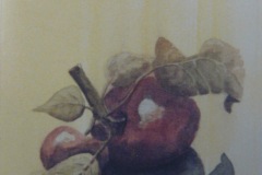 AQUAREL 1995-004