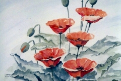 AQUAREL 1993-004