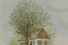 AQUAREL 1998-001